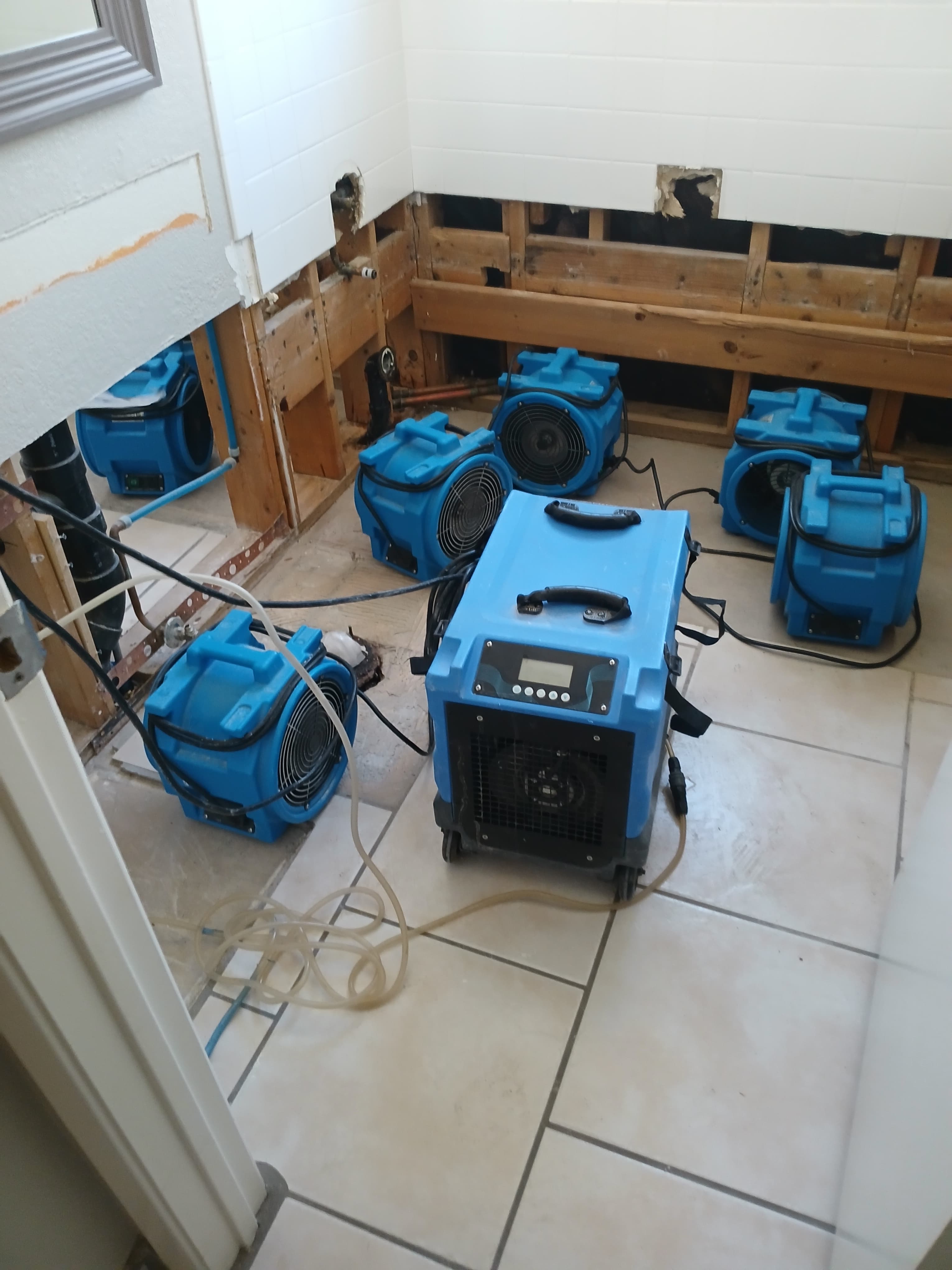 Project Toilet Backup Flood Cleanup and Water Damage Restoration image