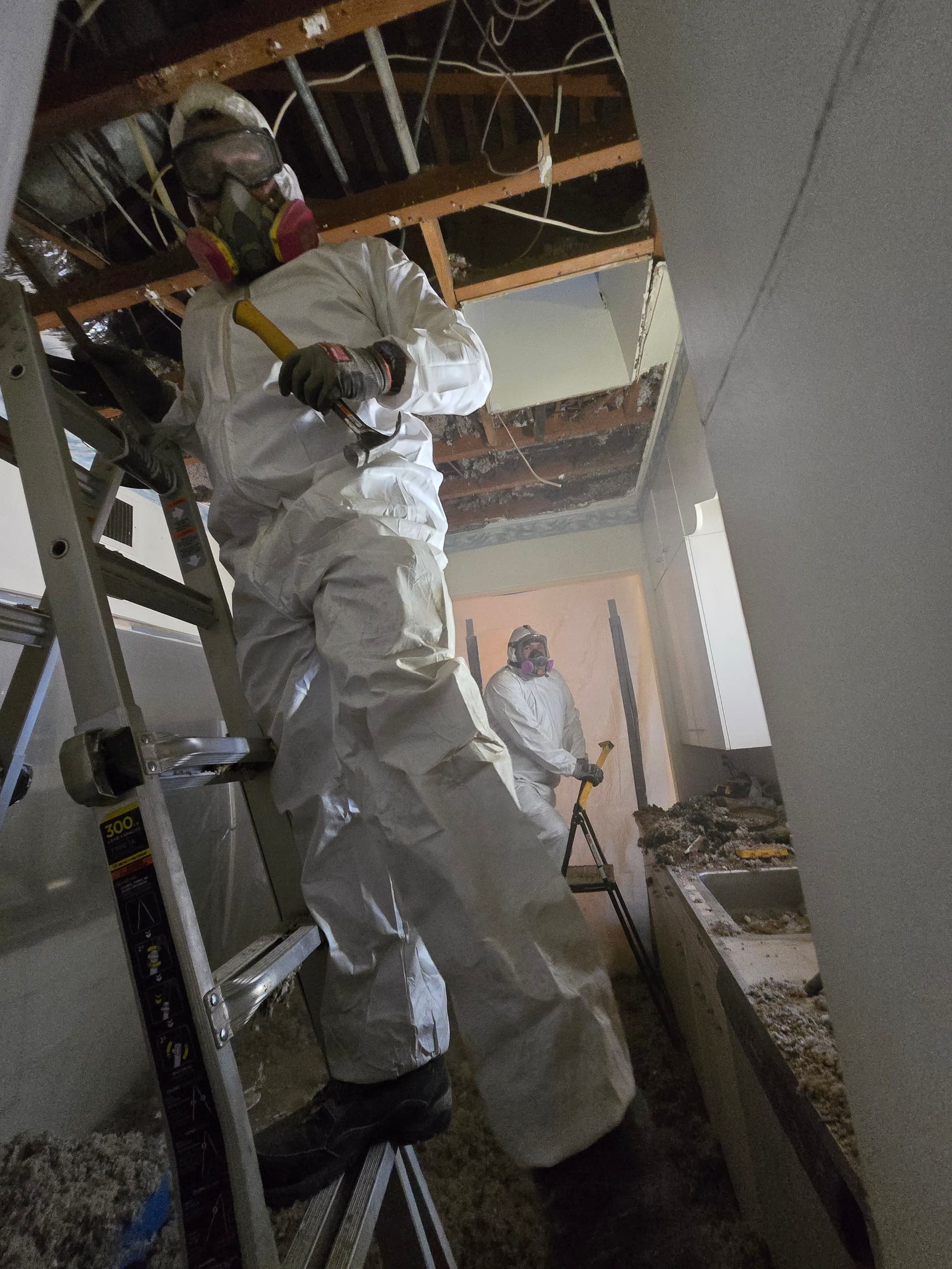 Gallery photos for Crisis Averted with Expert Asbestos Abatement and Mold Restoration: Image #3