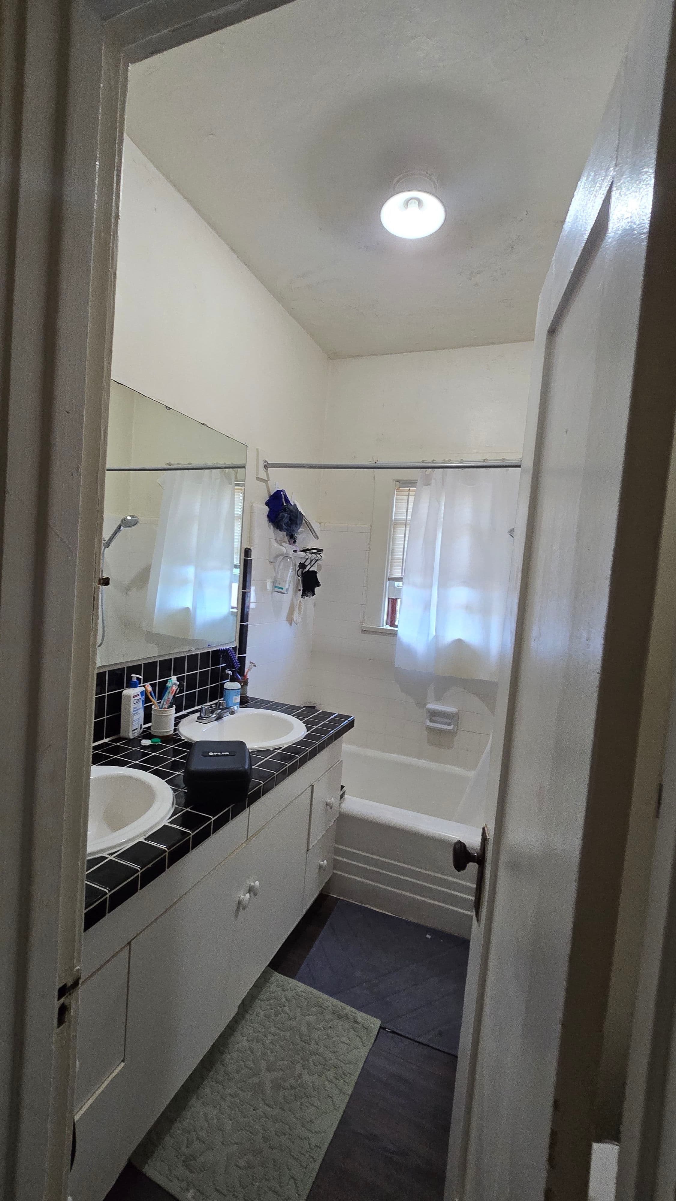 Project Mold on the Ceiling Turned Into a Full Bathroom Remodel image