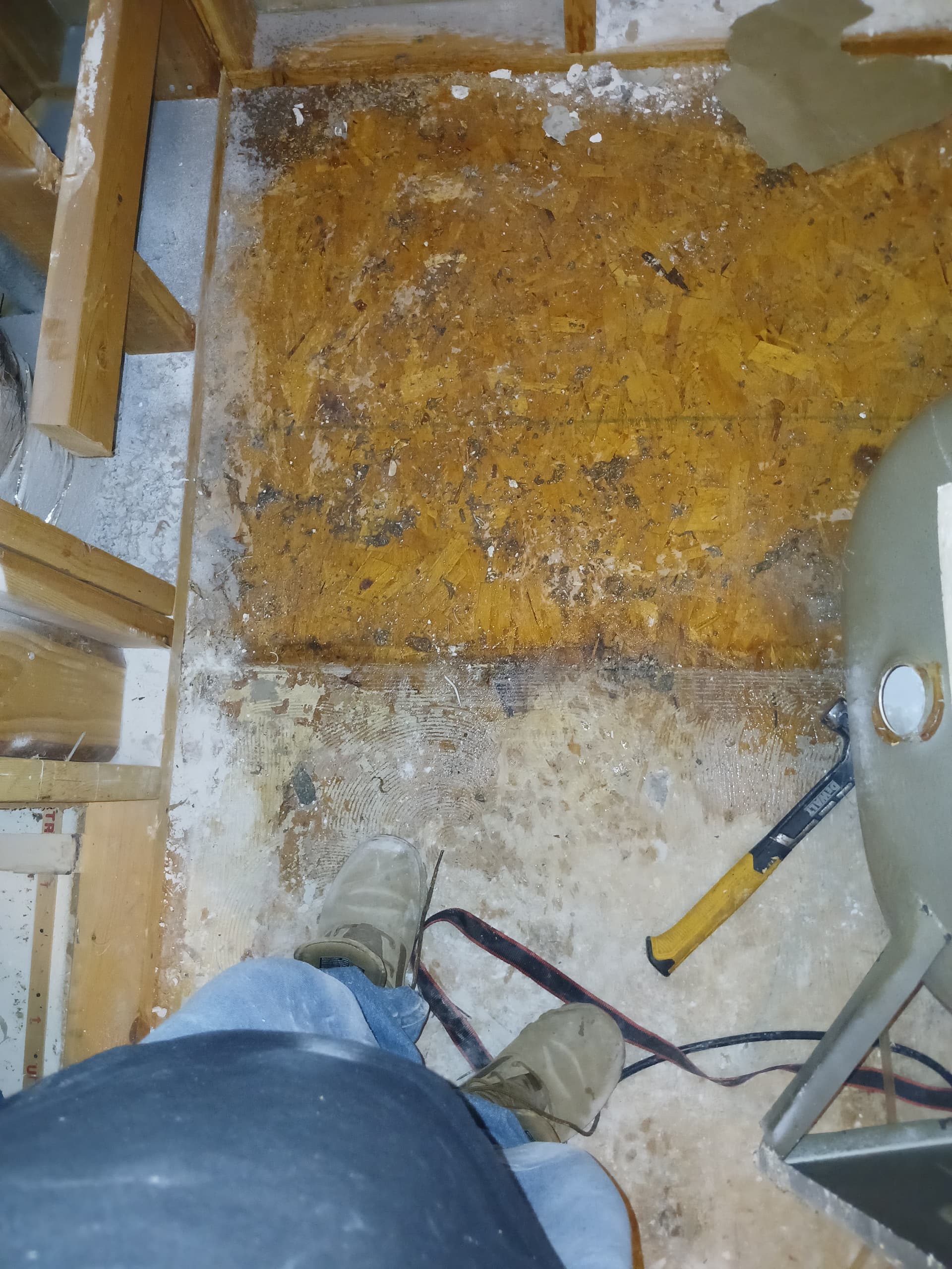 Gallery photos for Bathroom Backup Flood Cleanup Done Right: Image #3