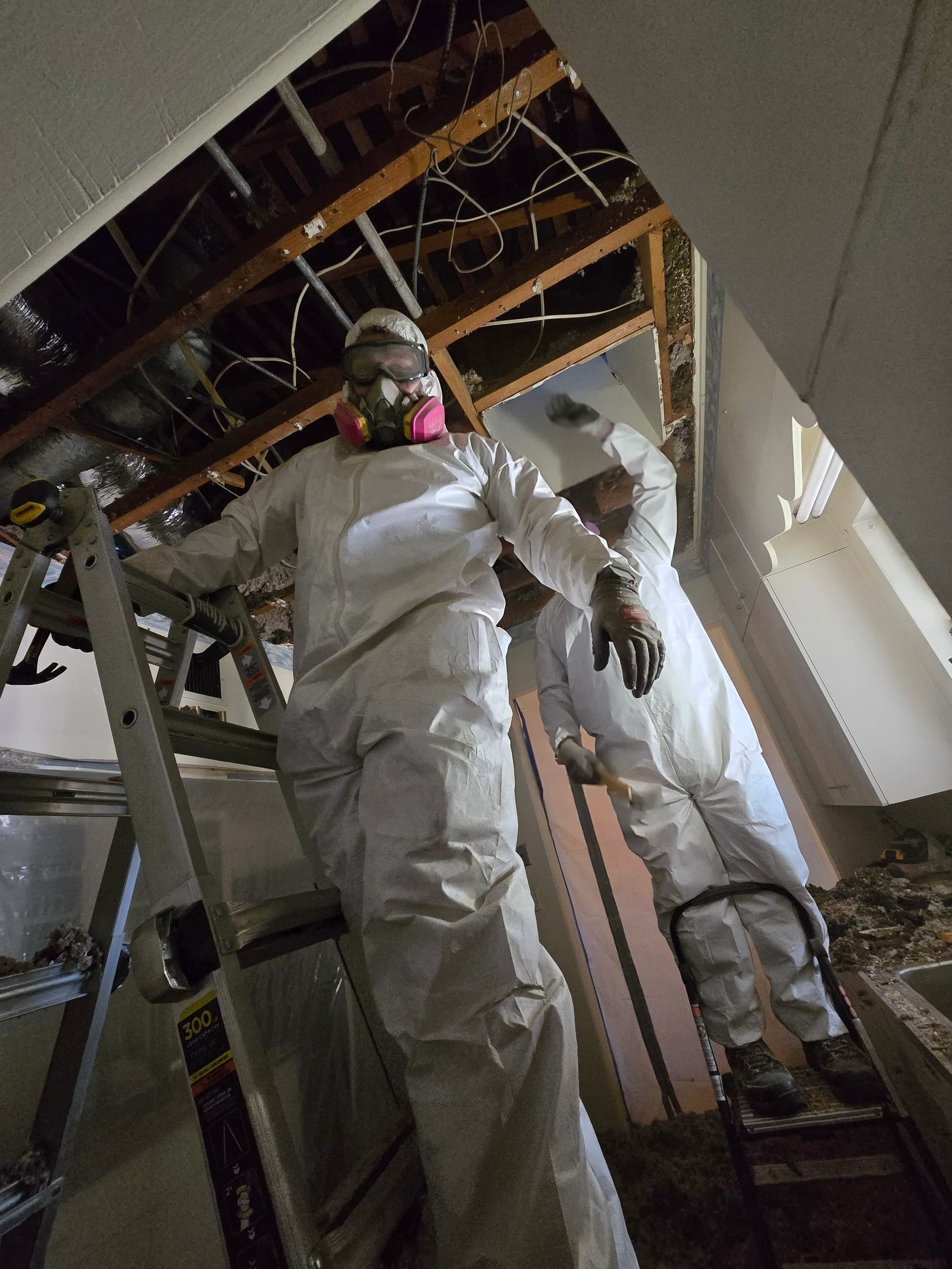 Gallery photos for Crisis Averted with Expert Asbestos Abatement and Mold Restoration: Image #4