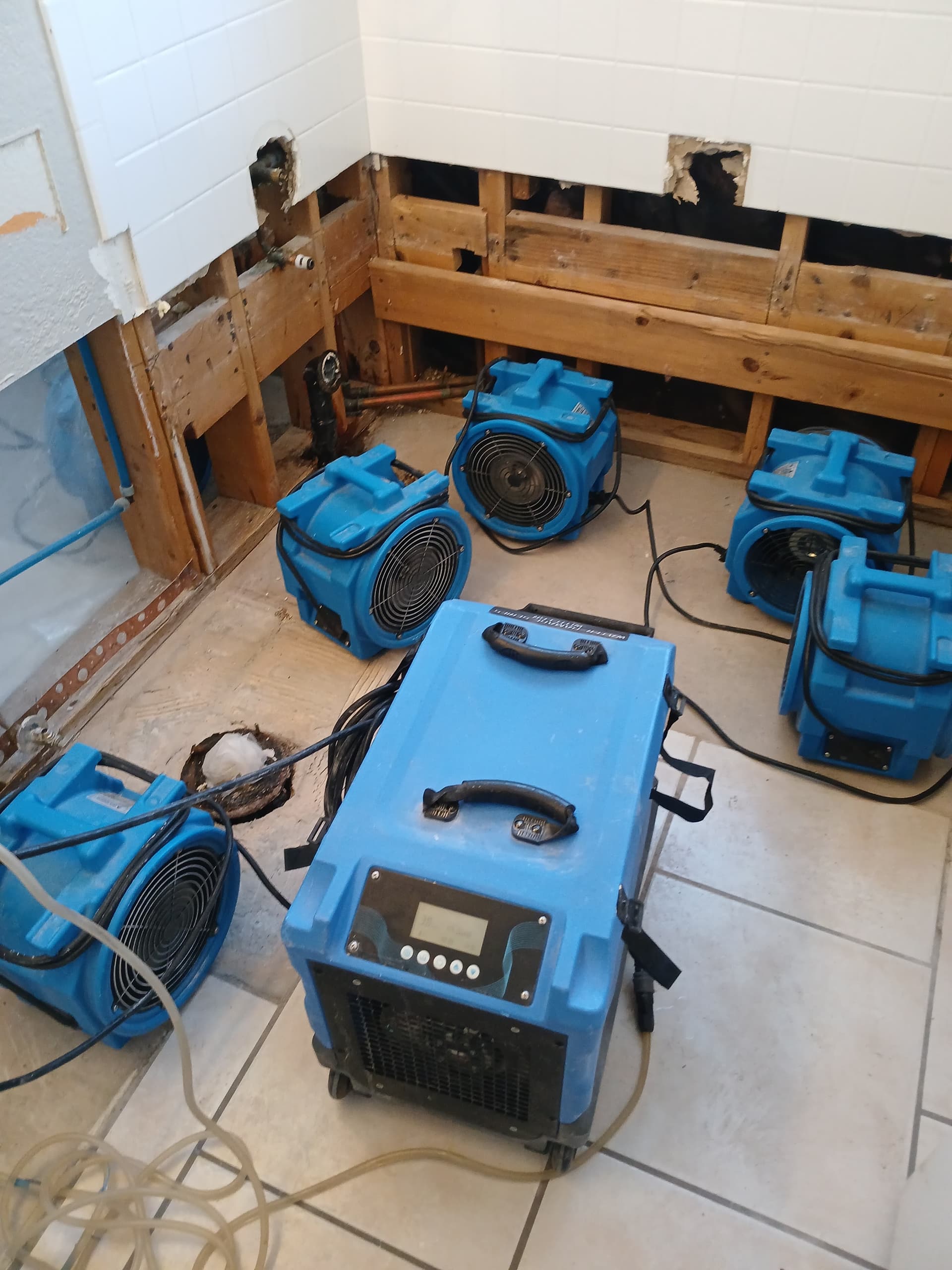 Gallery photos for Toilet Backup Flood Cleanup and Water Damage Restoration: Image #8