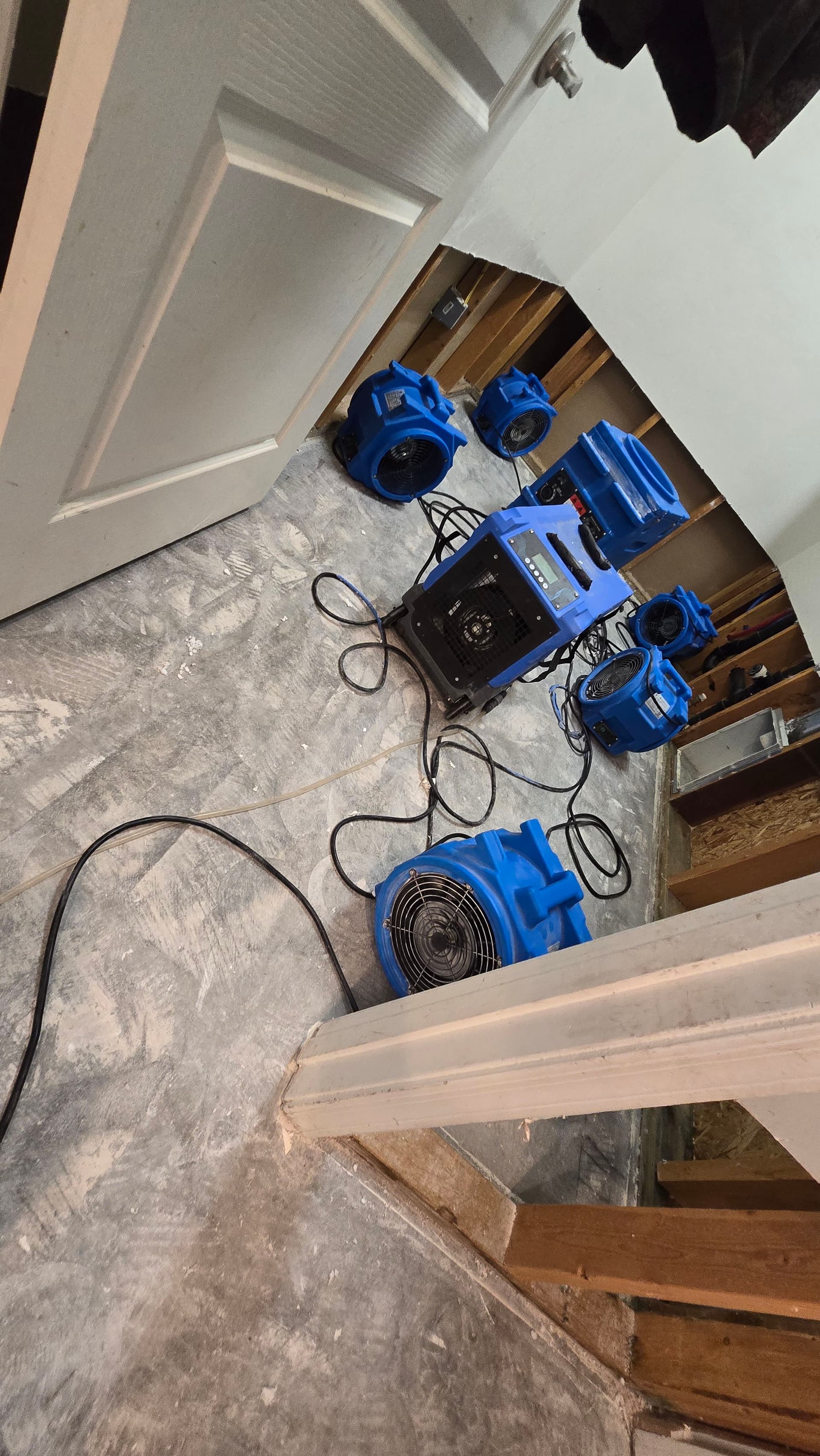 Gallery photos for Comprehensive Flood Damage Response in Time of Need: Image #3