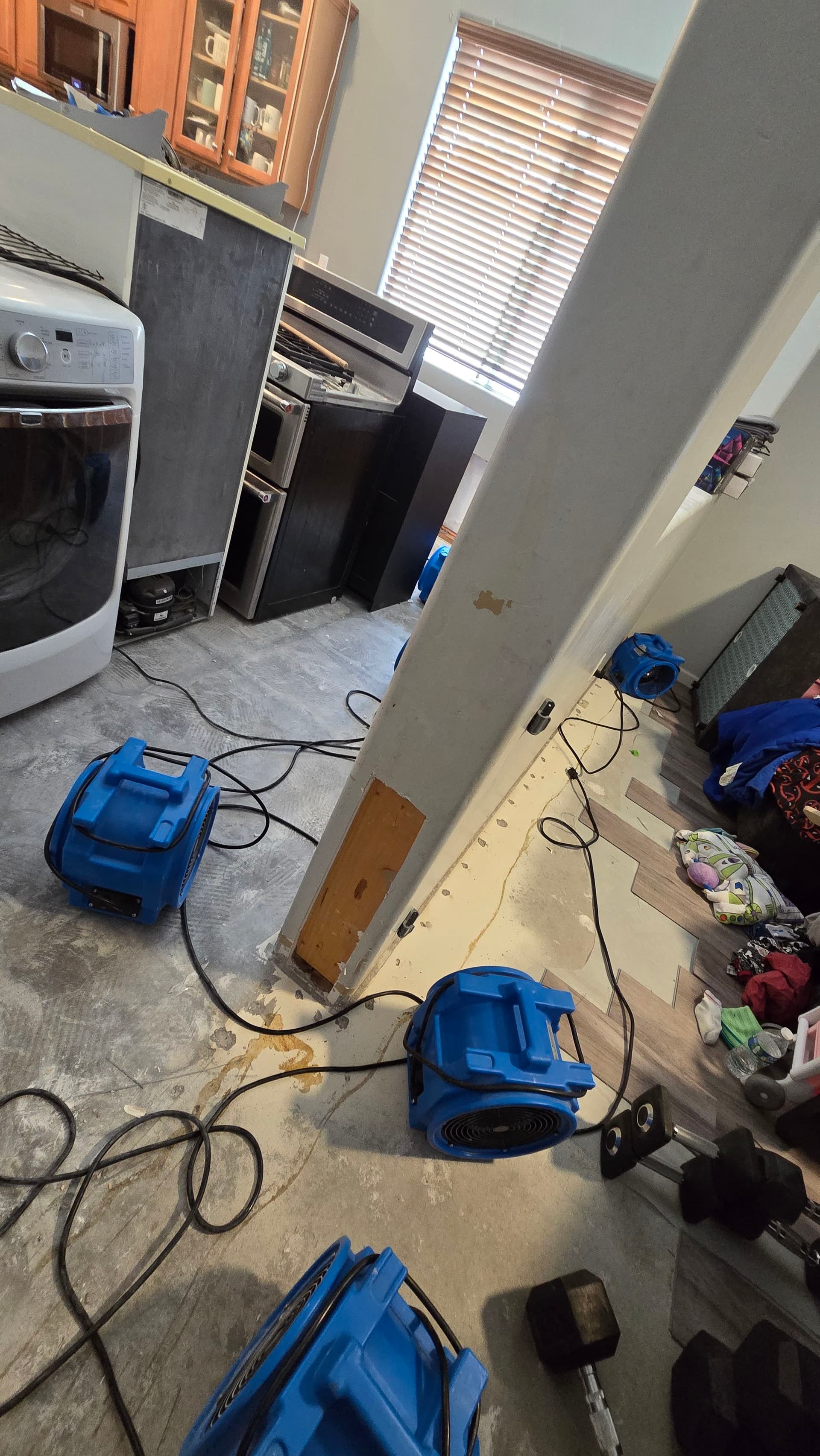 Gallery photos for Comprehensive Flood Damage Response in Time of Need: Image #6