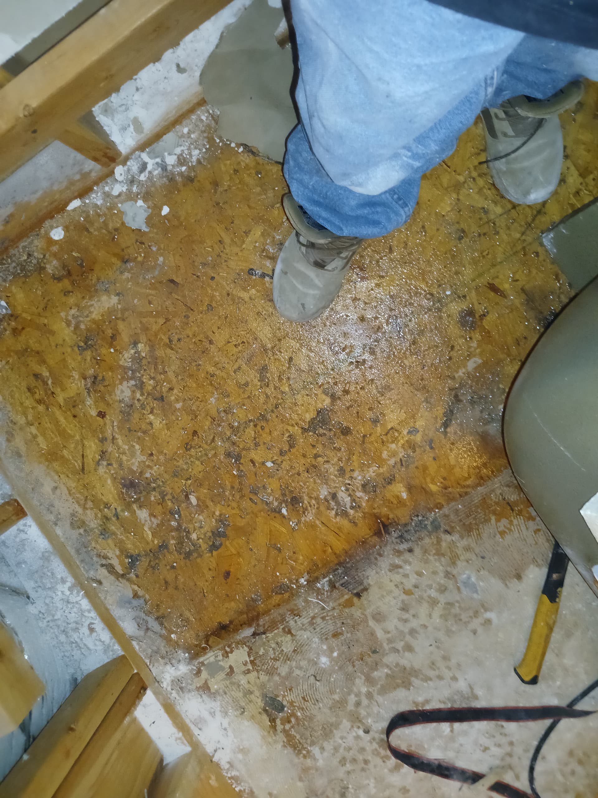 Gallery photos for Bathroom Backup Flood Cleanup Done Right: Image #2