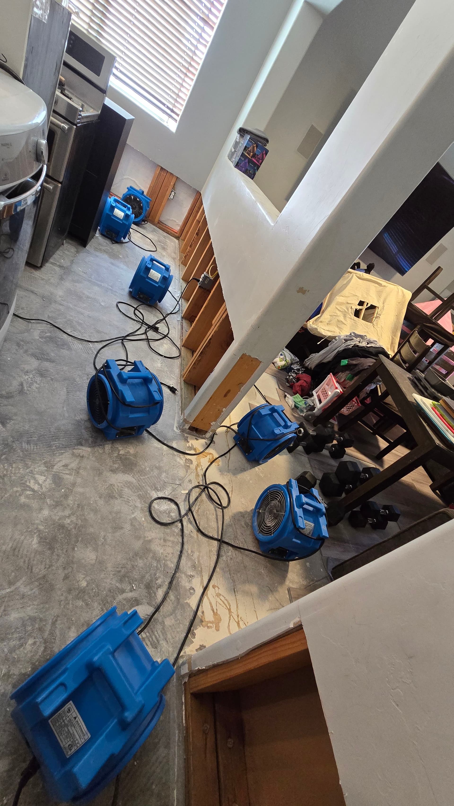 Gallery photos for Comprehensive Flood Damage Response in Time of Need: Image #7