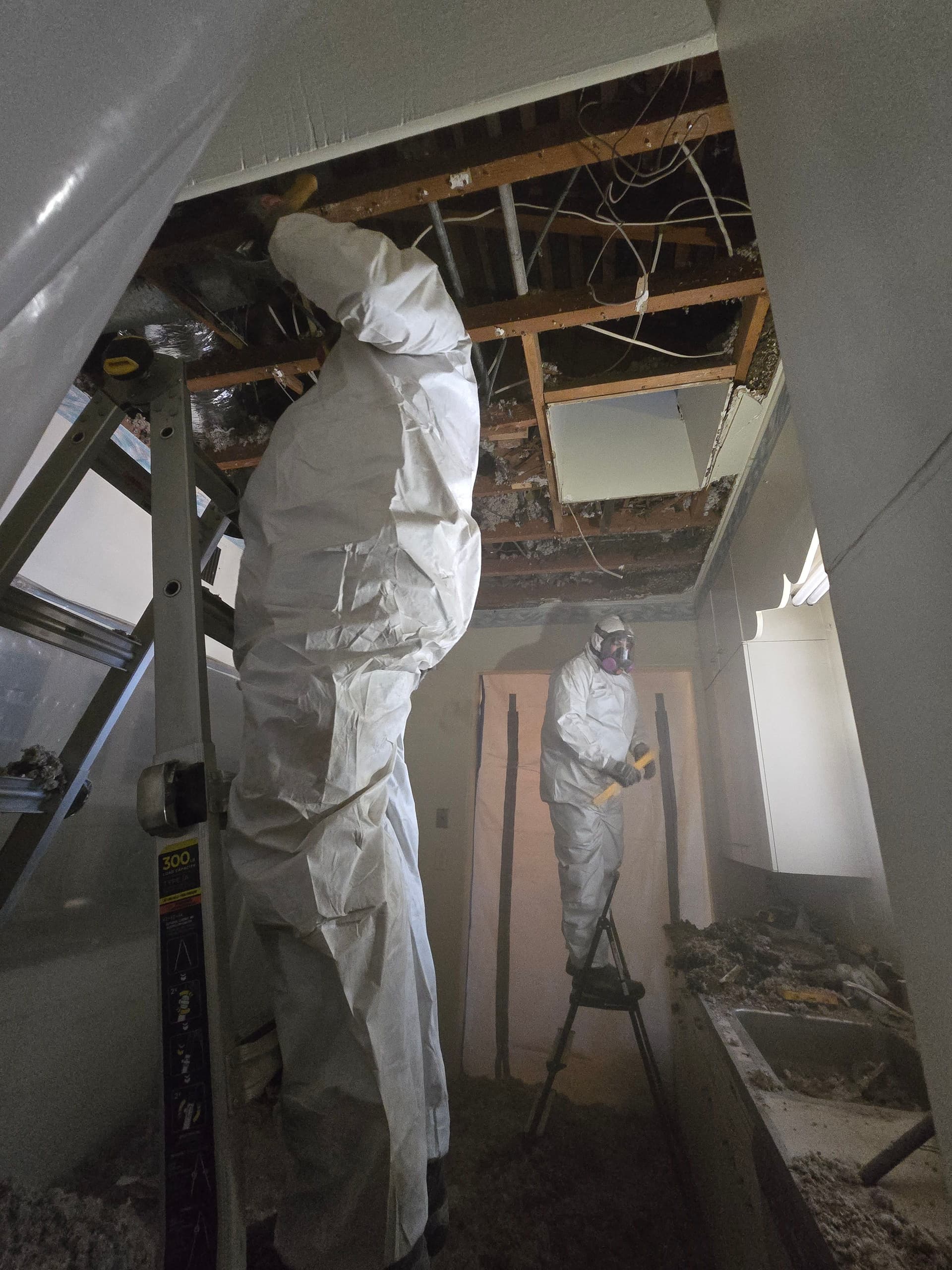 Gallery photos for Crisis Averted with Expert Asbestos Abatement and Mold Restoration: Image #7