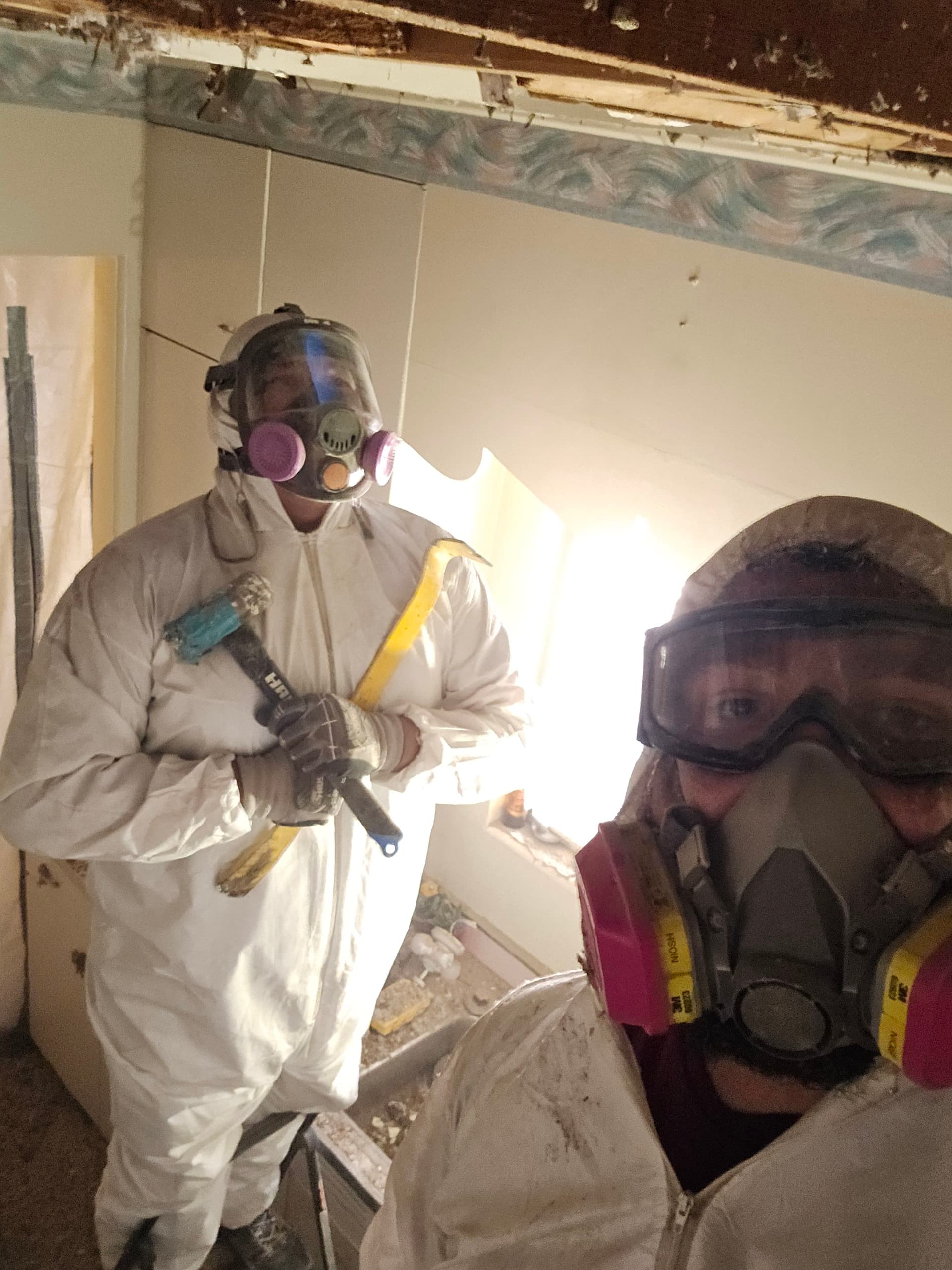 Crisis Averted with Expert Asbestos Abatement and Mold Restoration image