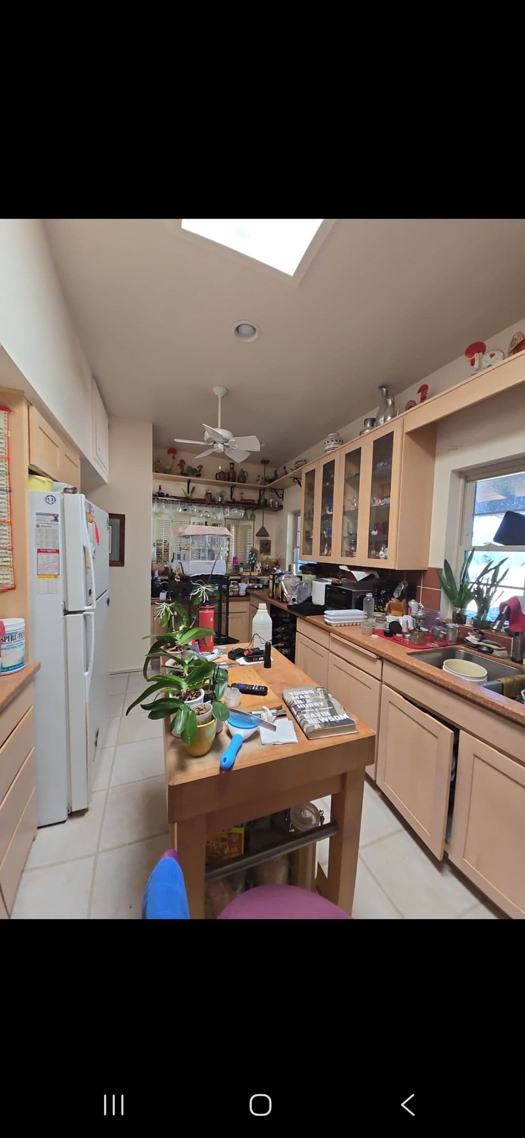 Project A Small Roof Leak That Had Already Destroyed an Entire Kitchen Wall image