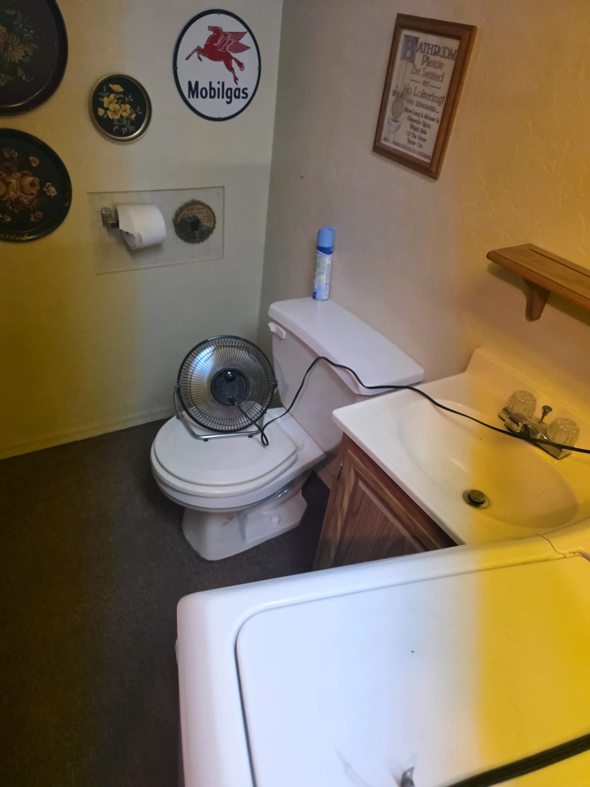 Gallery photos for How We Handle Water Damage When Contamination Is Involved: Image #8