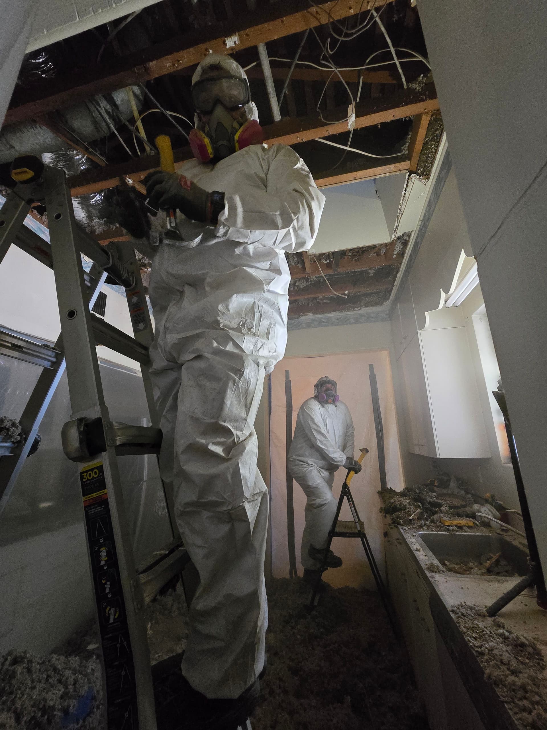 Gallery photos for Crisis Averted with Expert Asbestos Abatement and Mold Restoration: Image #6