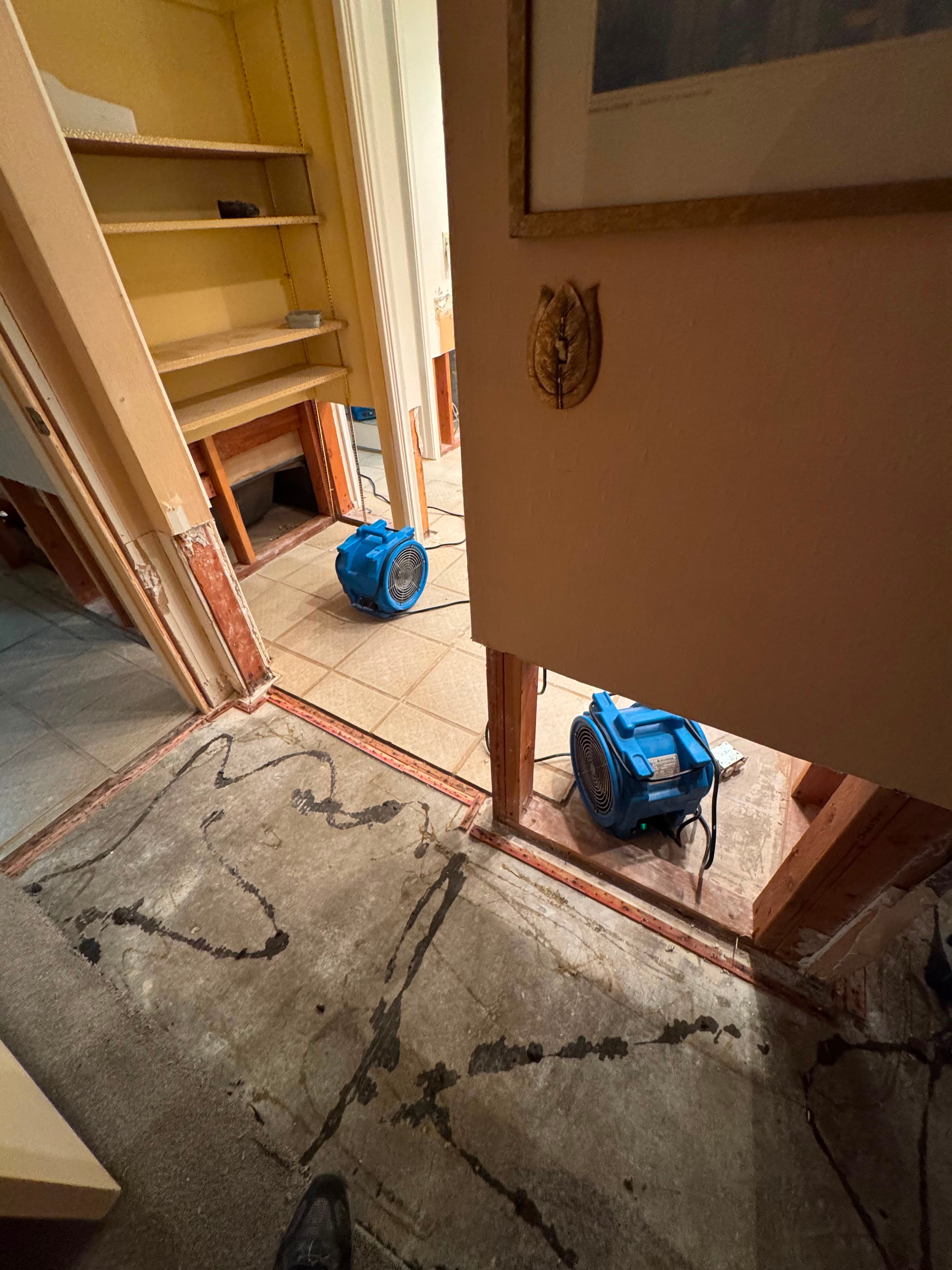 Project Water Damage Hits Bathrooms and Bedrooms - Here's How We Handle It image
