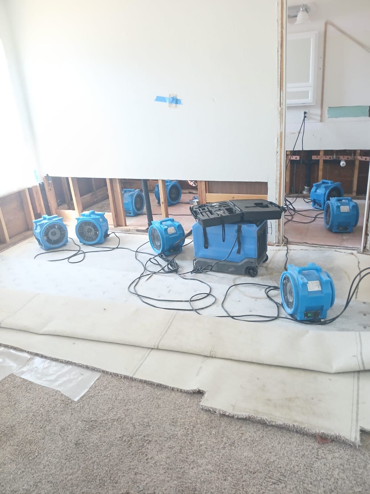 Gallery photos for Inside a Cat 3 Bathroom Flood Cleanup and Dryout: Image #4