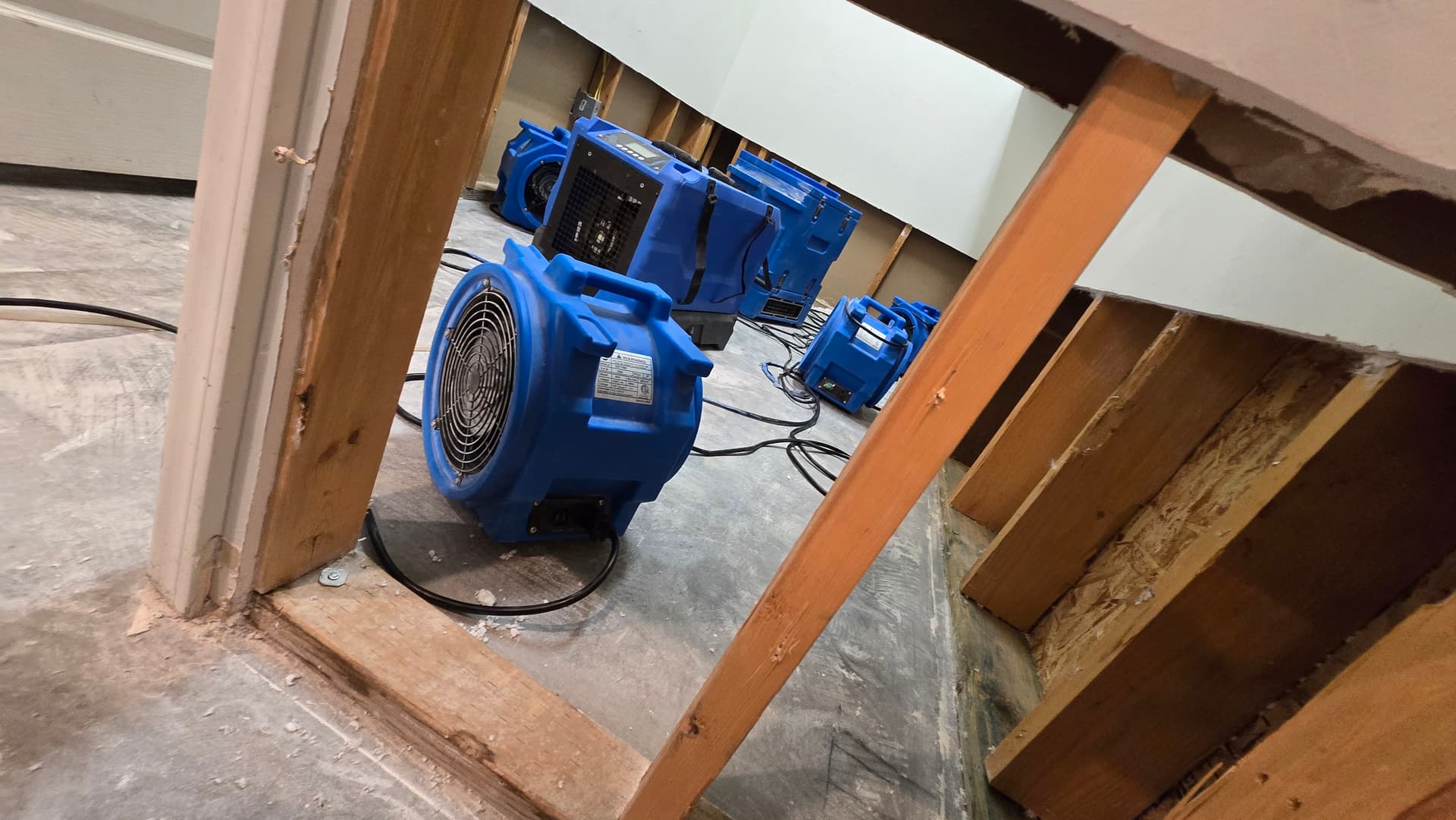 Gallery photos for Comprehensive Flood Damage Response in Time of Need: Image #4