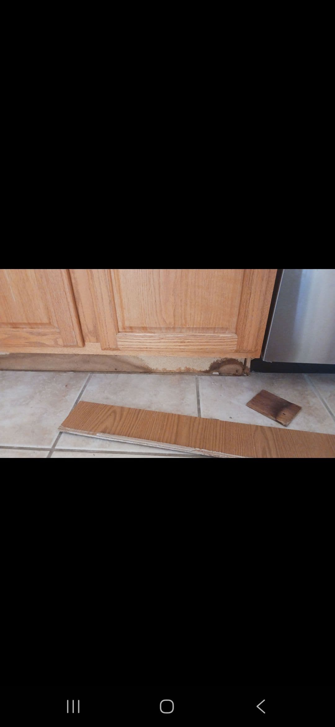 Gallery photos for Kitchen Leak Turned Into Major Water Damage - Here's How We Fixed It: Image #2