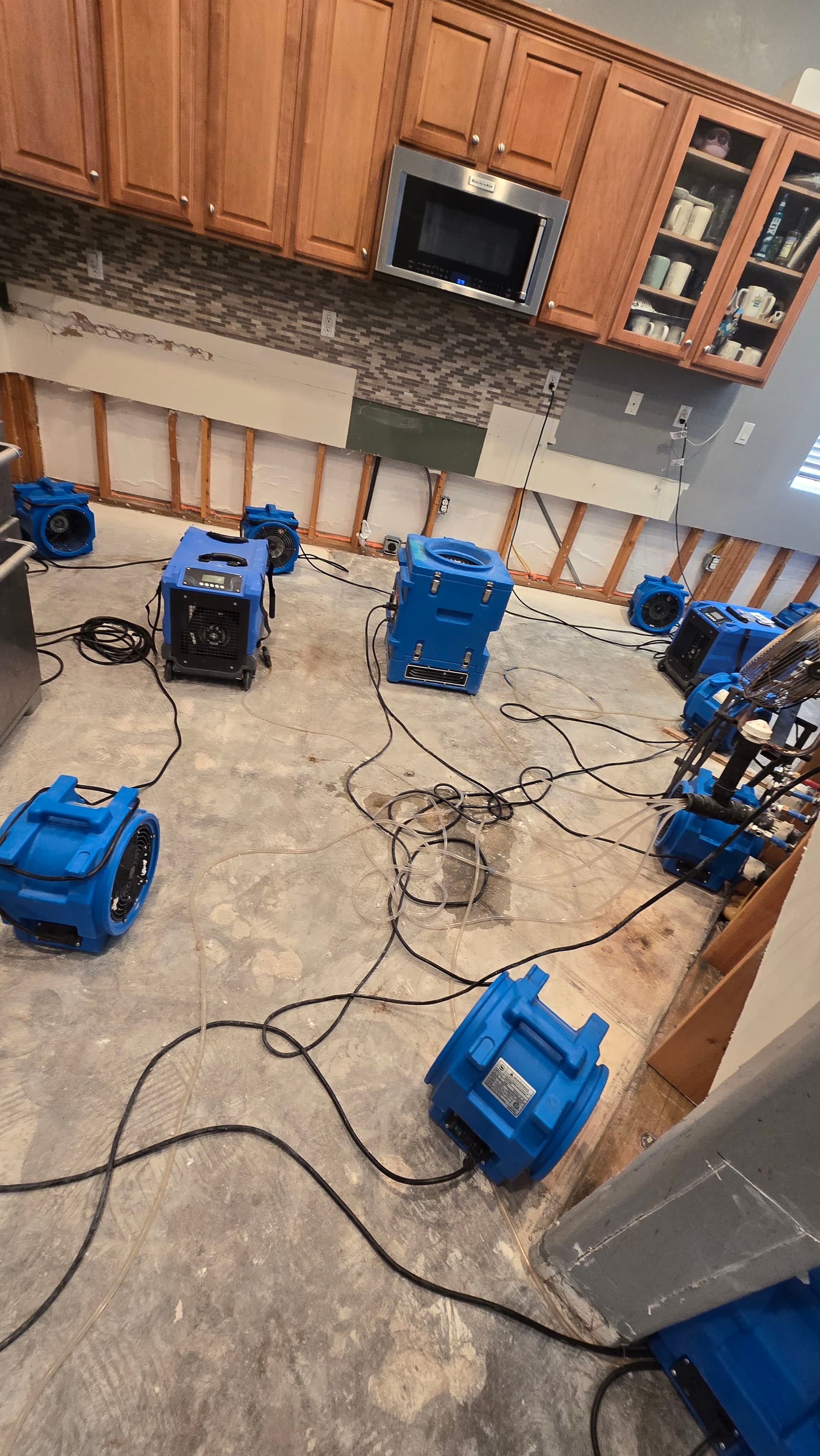 Gallery photos for Comprehensive Flood Damage Response in Time of Need: Image #2