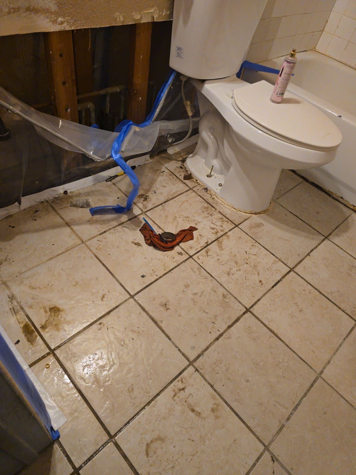 Gallery photos for Comprehensive Bathroom Remodeling After Water Damage: Image #1