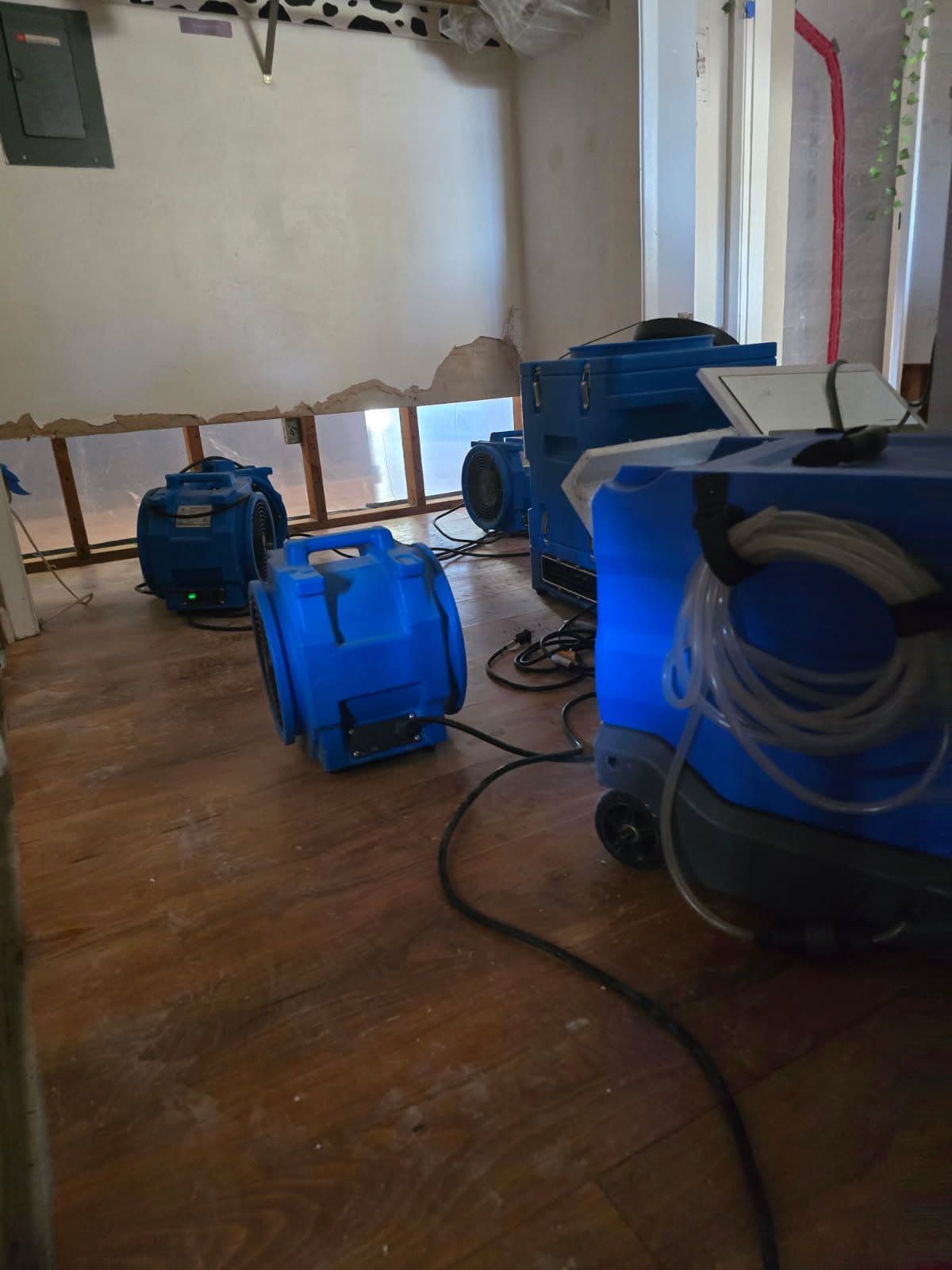 Gallery photos for Comprehensive Water Damage Repair and Restoration: Image #2