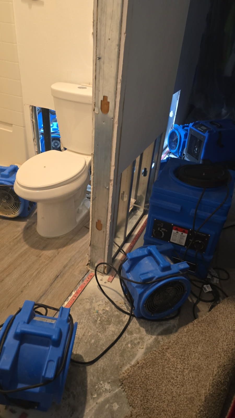 Gallery photos for Comprehensive Water Damage Restoration in Action: Image #3