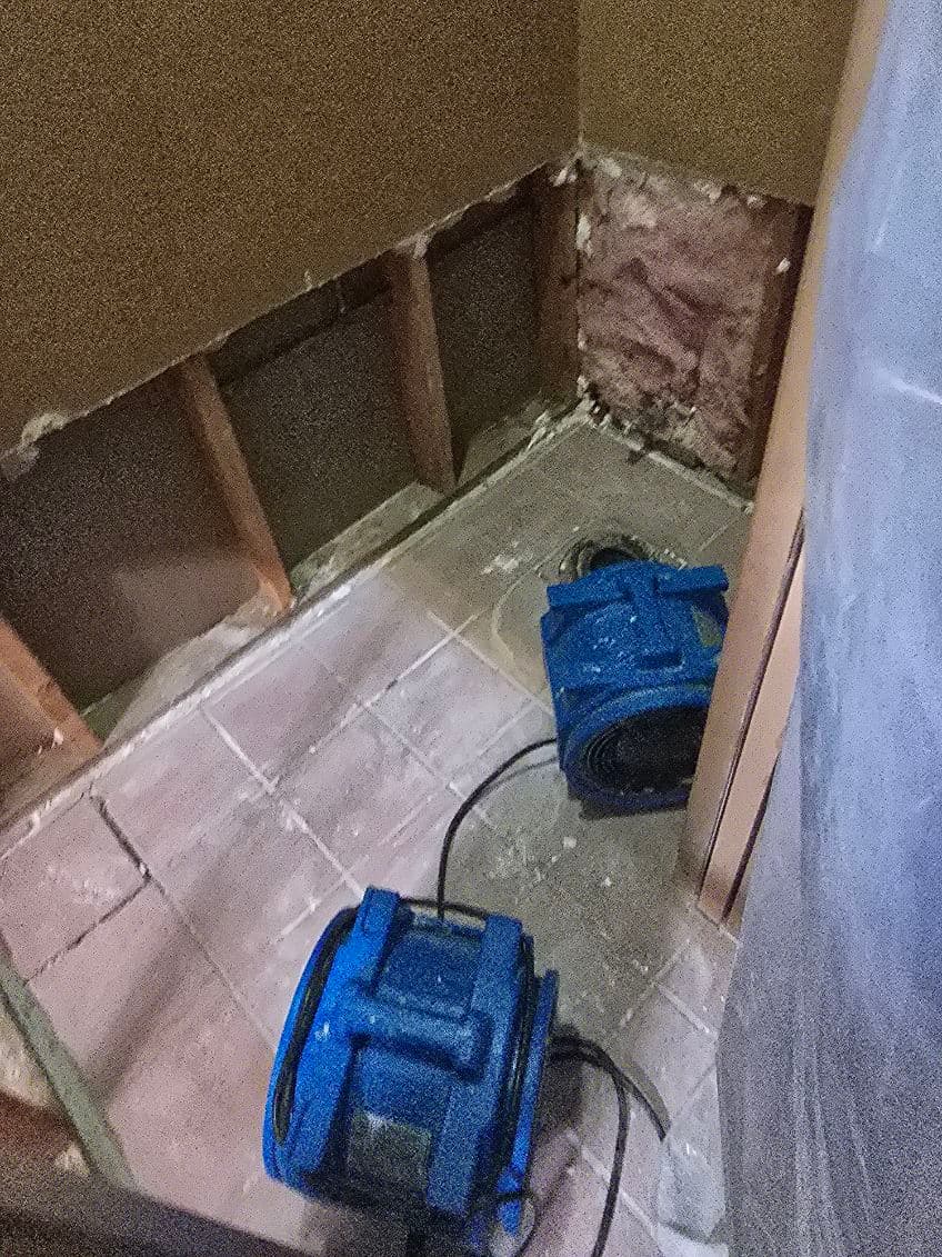 Expert Water Damage Restoration for Flooded Bathroom