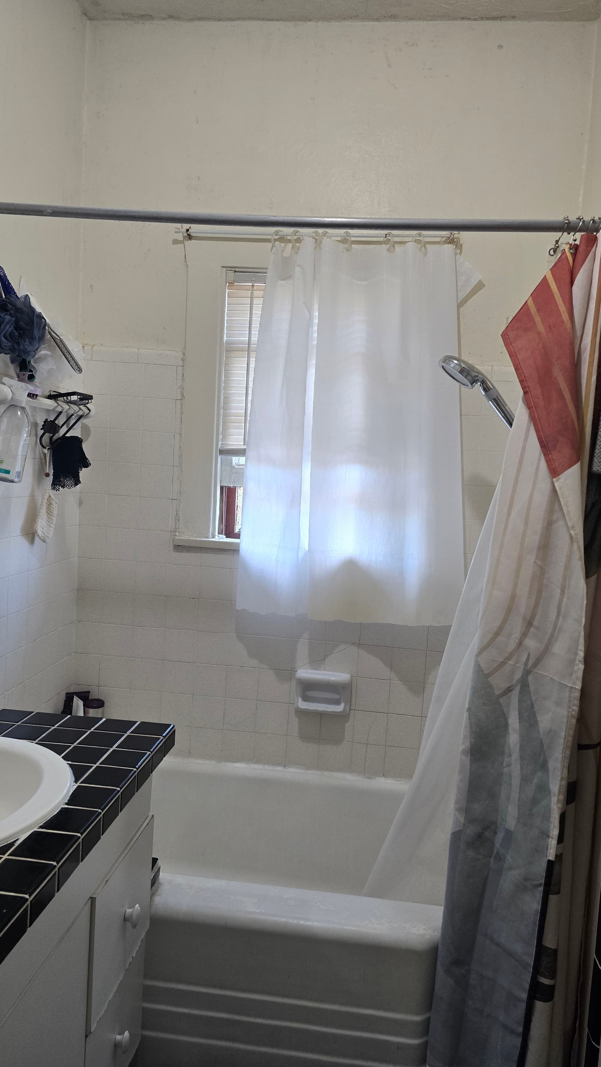 Gallery photos for Mold on the Ceiling Turned Into a Full Bathroom Remodel: Image #5