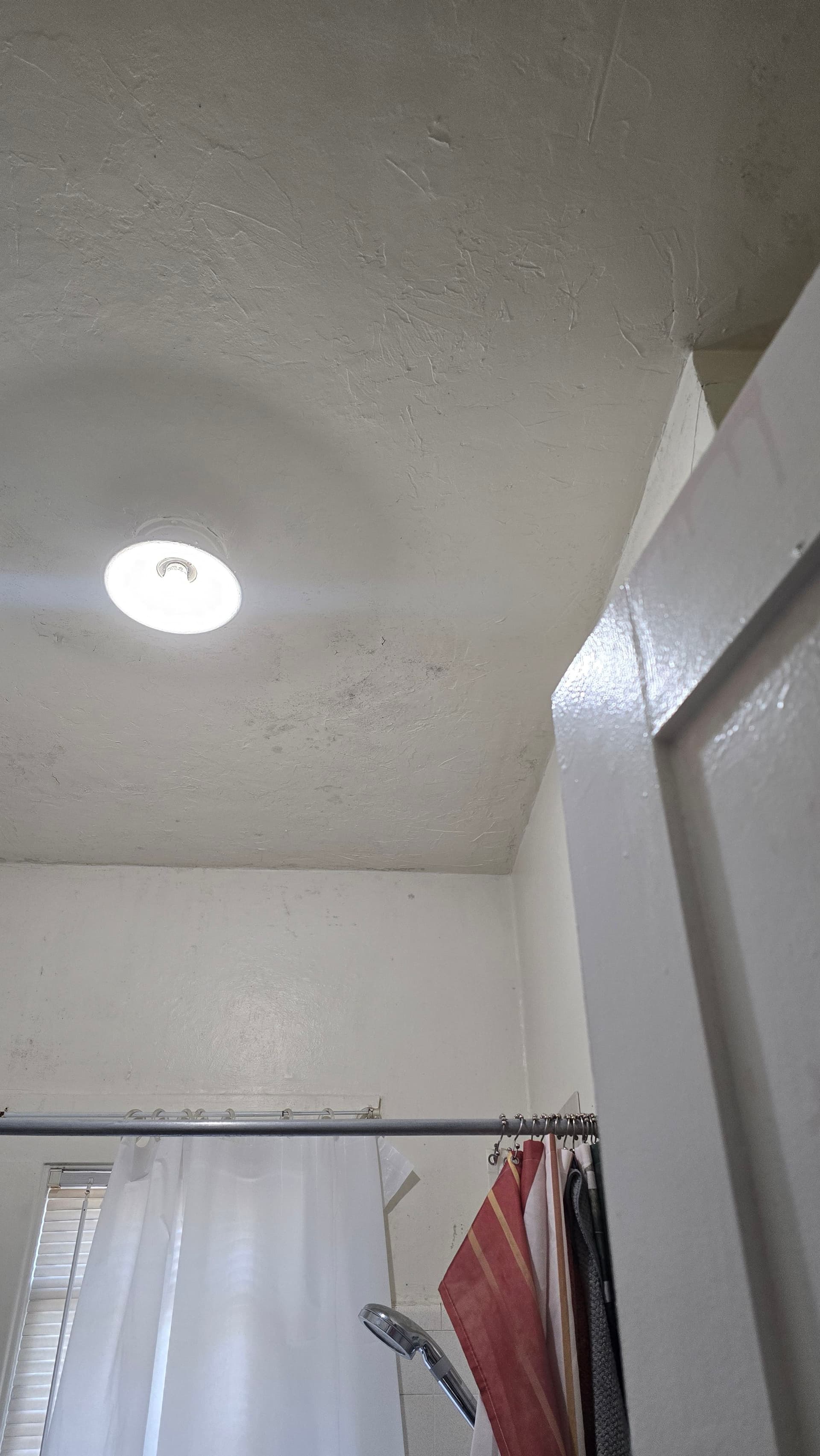 Gallery photos for Mold on the Ceiling Turned Into a Full Bathroom Remodel: Image #4