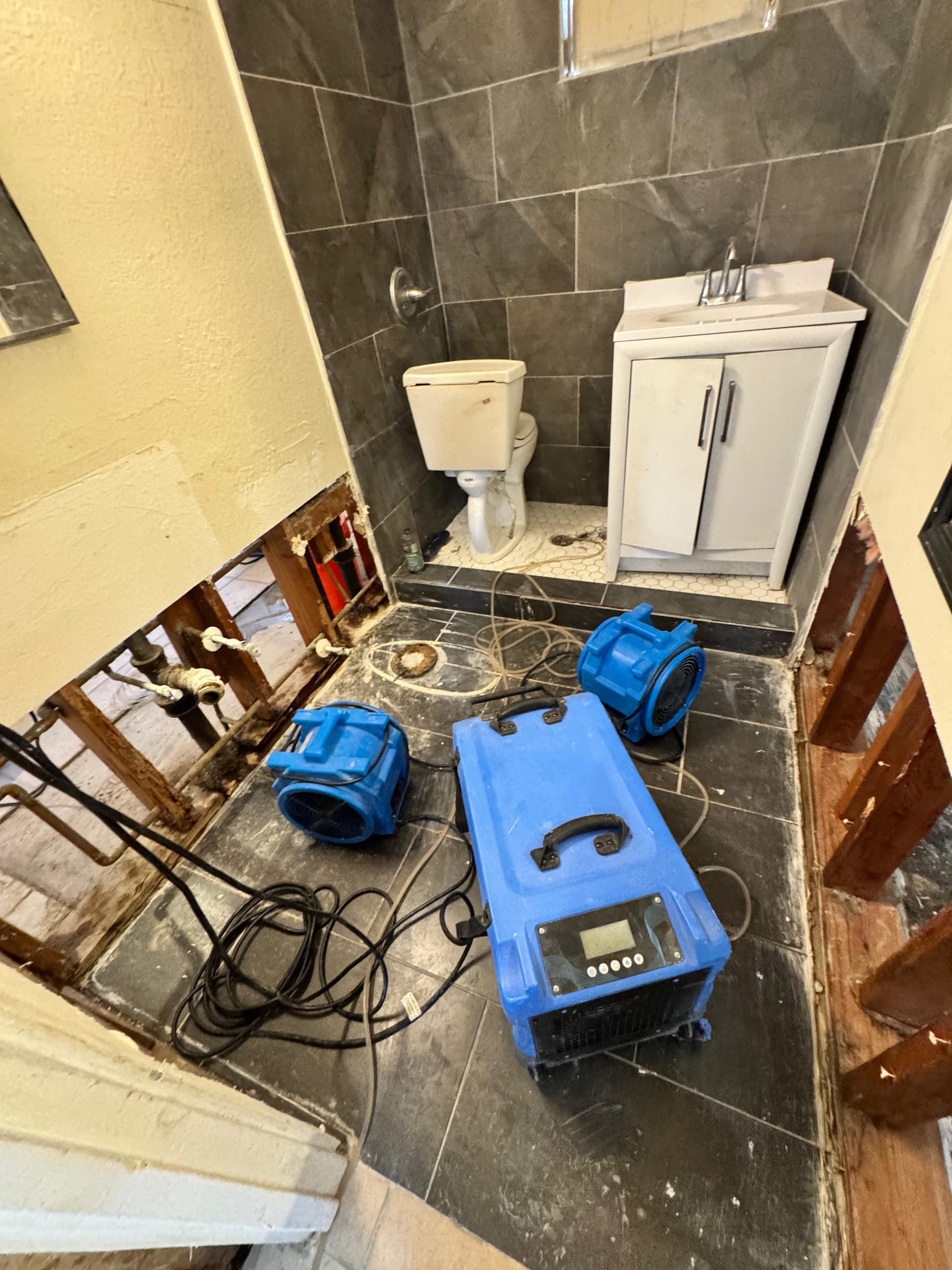 Gallery photos for Water Damage Extraction and Demo Done Right: Image #9