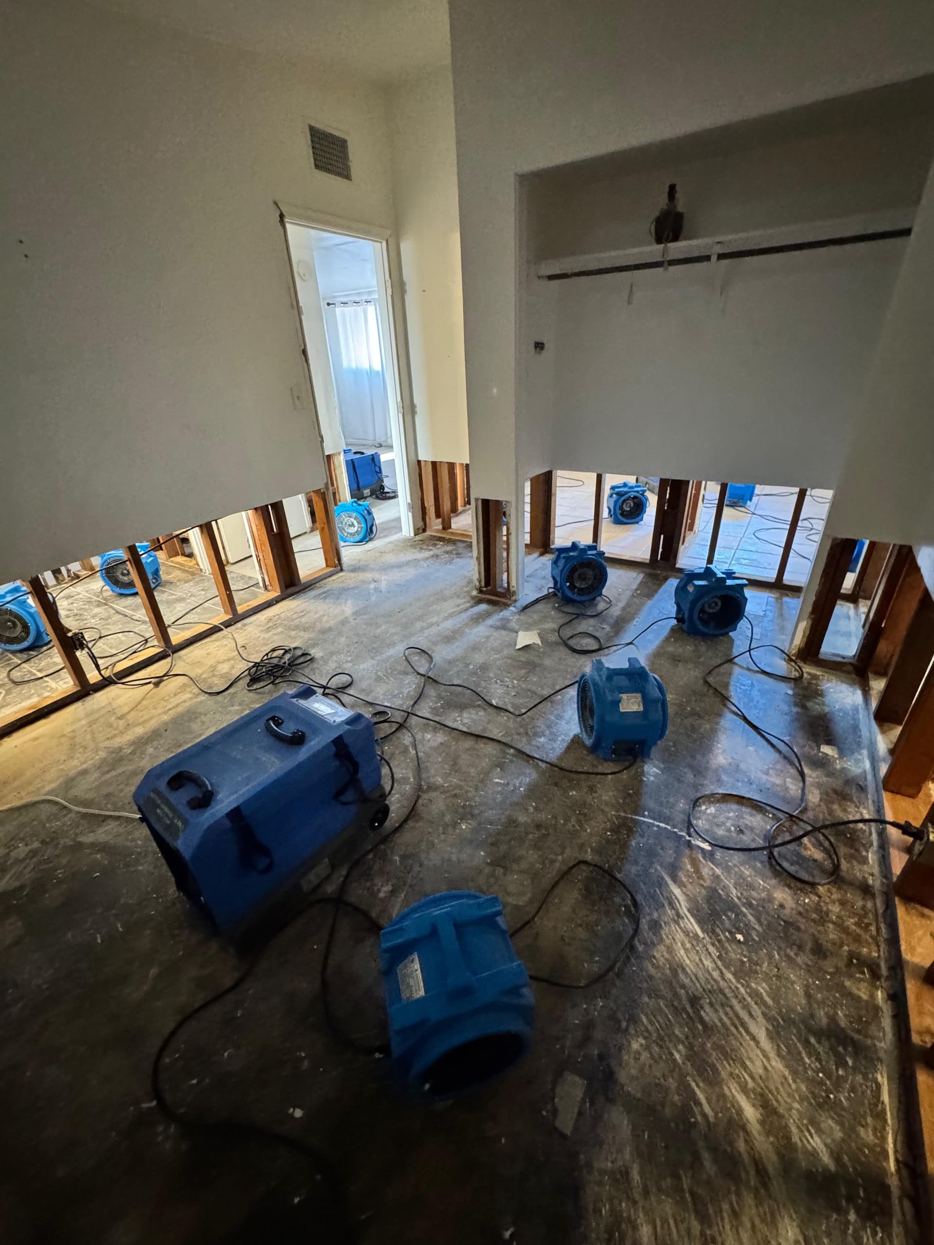 Gallery photos for Water Damage Extraction and Demo Done Right: Image #5