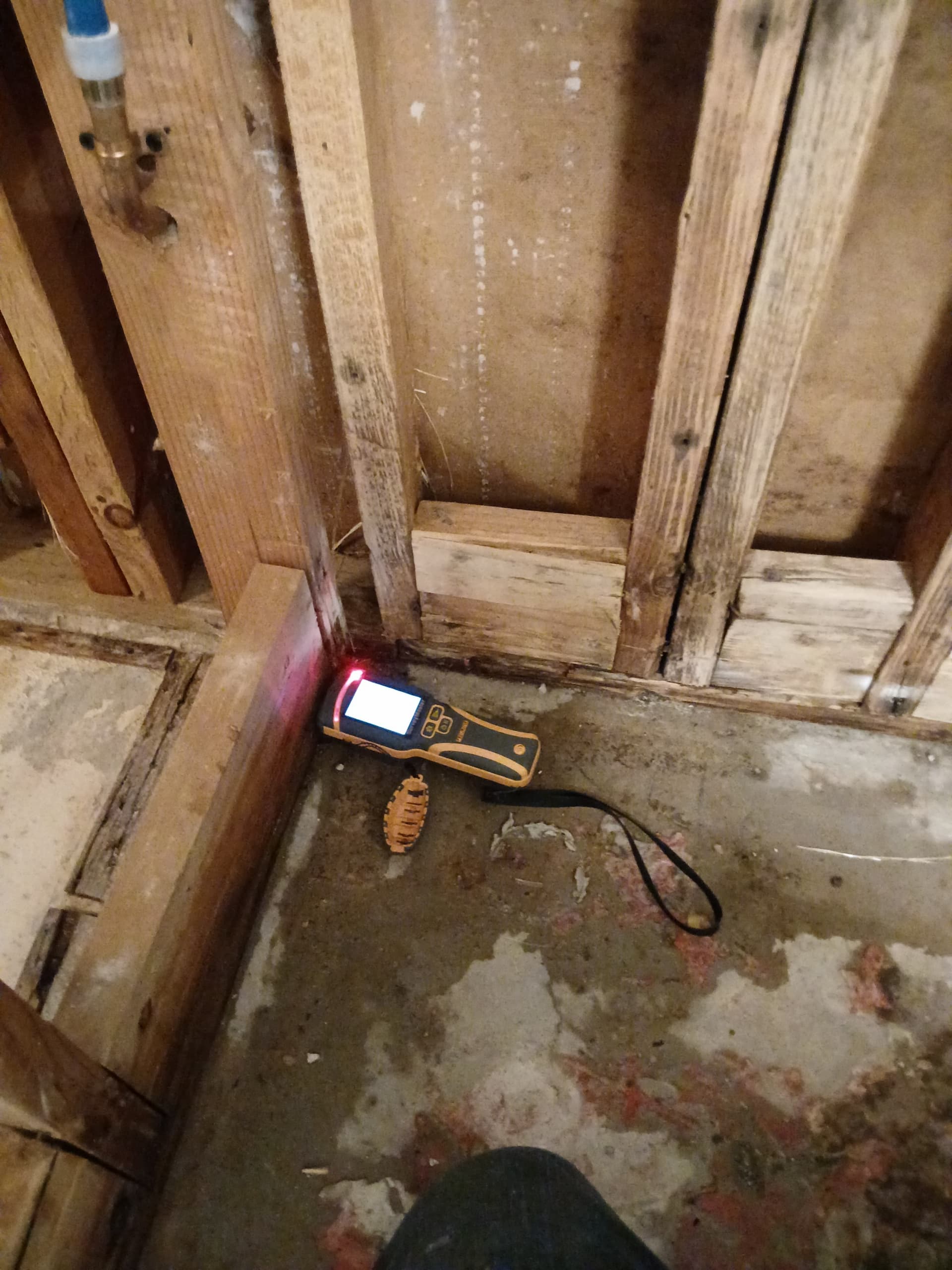 Gallery photos for Bathroom Flood Rescue - Water Damage Restoration and Full Shower Rebuild: Image #7