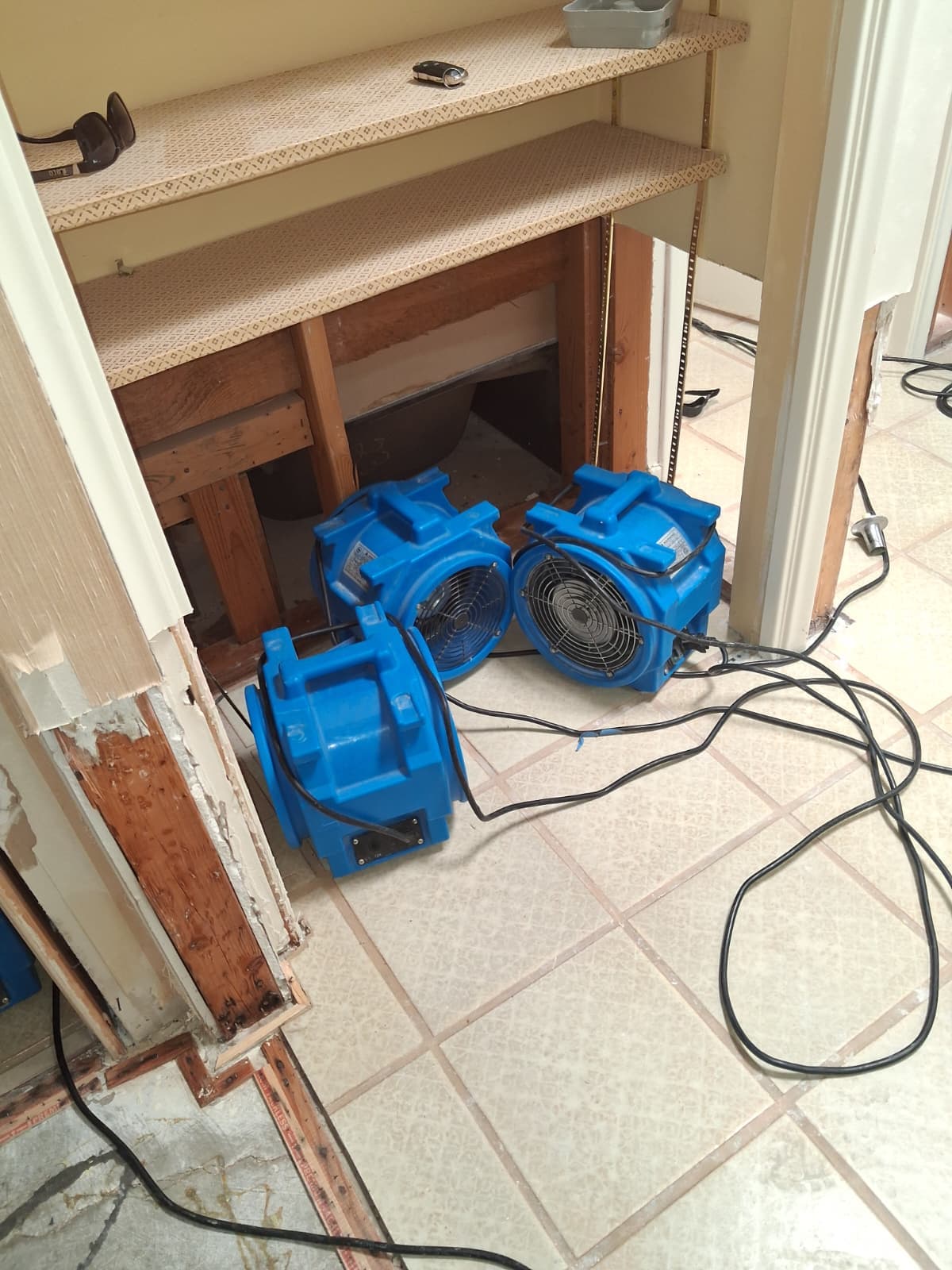 Gallery photos for Plumbing Backup Flooded All 3 Bathrooms - Here's How We Handled It: Image #8