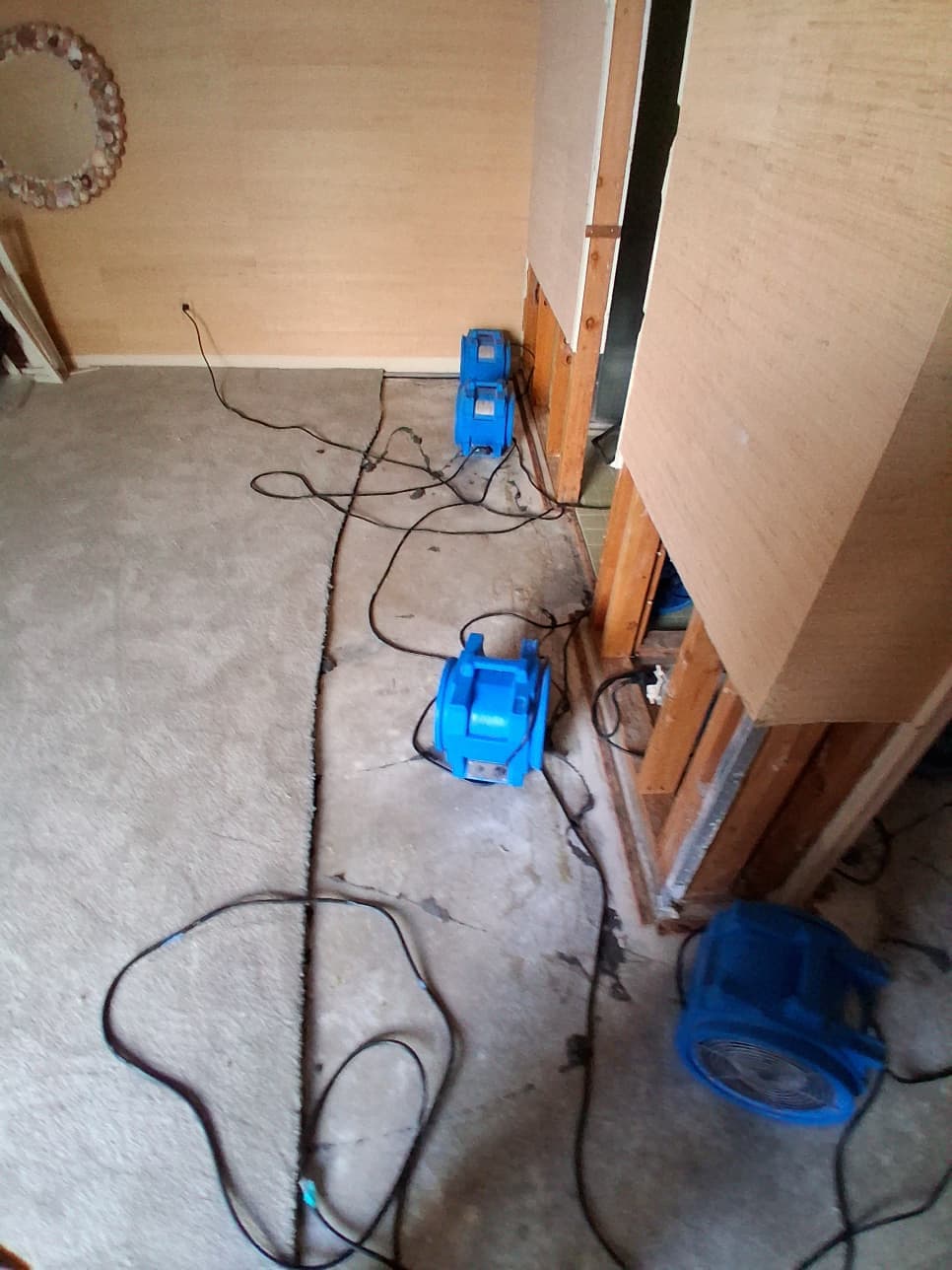 Gallery photos for Plumbing Backup Flooded All 3 Bathrooms - Here's How We Handled It: Image #2