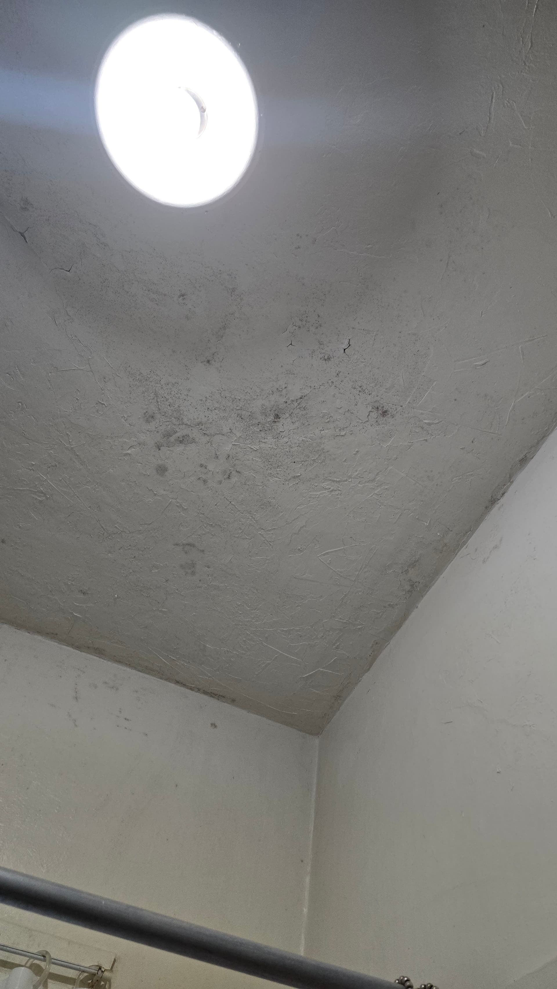Gallery photos for Mold on the Ceiling Turned Into a Full Bathroom Remodel: Image #8